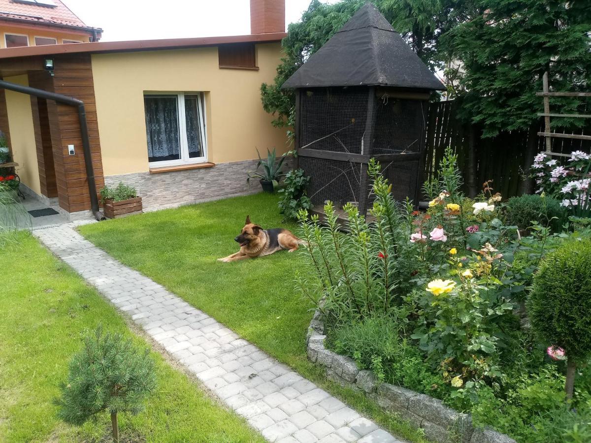 Agroturystyka U Agaty Chęciny Exteriér fotografie