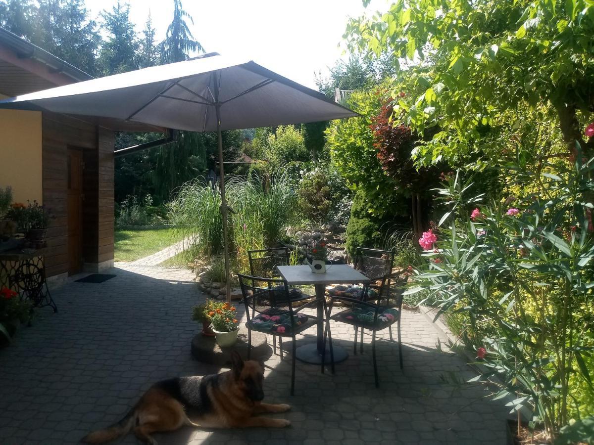 Agroturystyka U Agaty Chęciny Exteriér fotografie